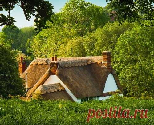 Уютные дома и усадьбы жителей графства Хэмпшир (26 фото)