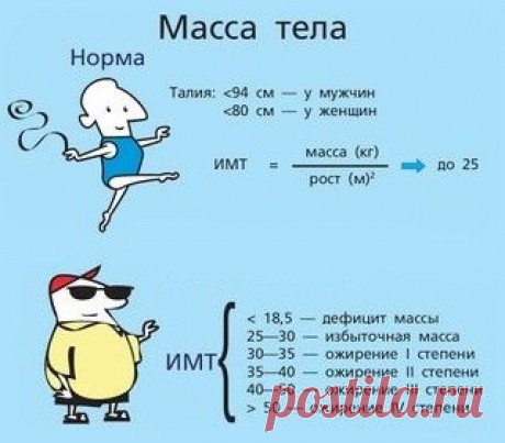 Памятка тем, кто собирается худеть