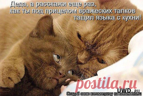 пп