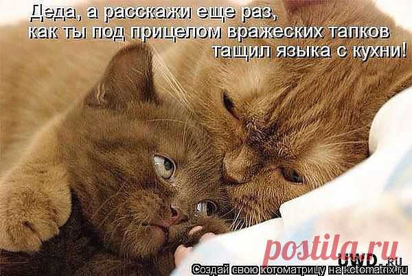 пп