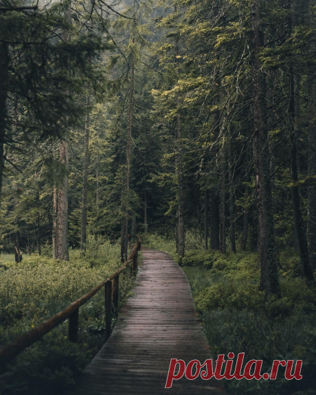 i (1080×1350)