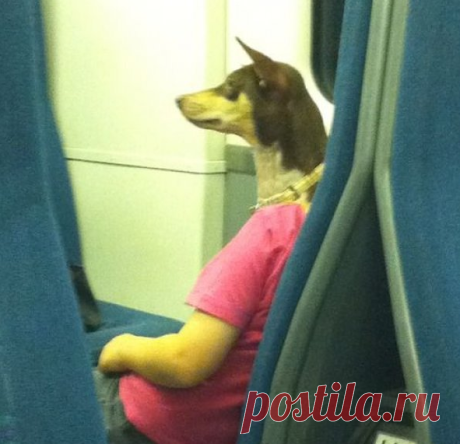 14 фото, которые доказывают, что метро — это другой мир | lifestylebuzz.ru