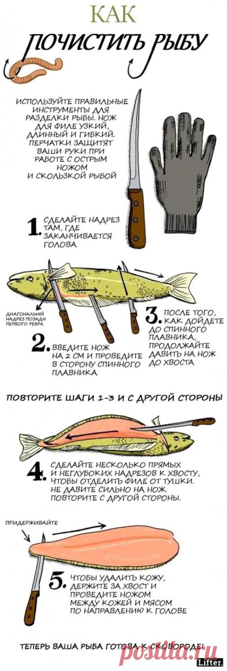 Как почистить рыбу
