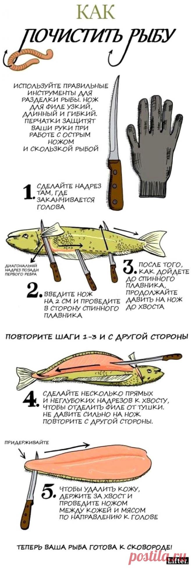 Как почистить рыбу