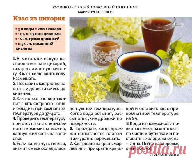 Квас из цикория