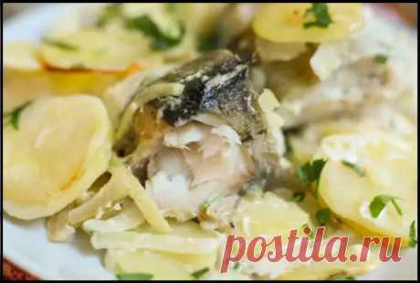 (42) Покупаю самую дешёвую рыбу (минтай, хек, путассу) и готовлю вкуснейший бюджетный ужин без жарки - Ваши любимые рецепты - 22 января - 43952508398 - Медиаплатформа МирТесен