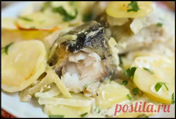 (42) Покупаю самую дешёвую рыбу (минтай, хек, путассу) и готовлю вкуснейший бюджетный ужин без жарки - Ваши любимые рецепты - 22 января - 43952508398 - Медиаплатформа МирТесен