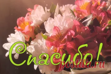 «(59) Одноклассники» — карточка пользователя Людмила Кошелева в Яндекс.Коллекциях