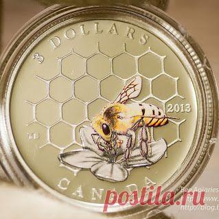 Dmitry Paponov (BeeApiaries) – Google+