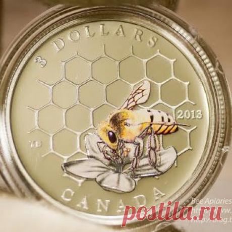 Dmitry Paponov (BeeApiaries) – Google+