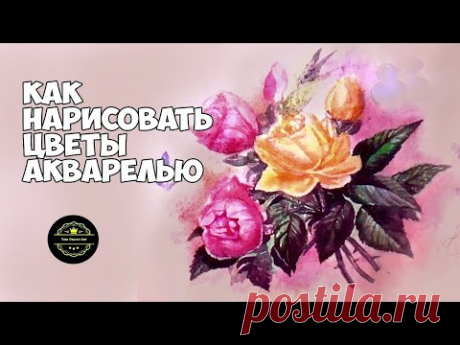 Как нарисовать цветы. Как нарисовать розу. Ботаническая иллюстрация