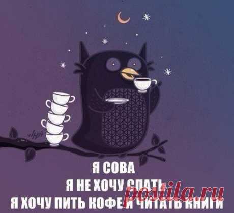 Закваски &quot;Свой йогурт&quot;