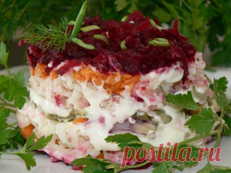 Селедка под шубой: рецепт домашней сельди
