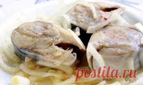 Маринованная скумбрия
