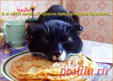 Кулинарный юмор в котоматрицах | Четыре вкуса