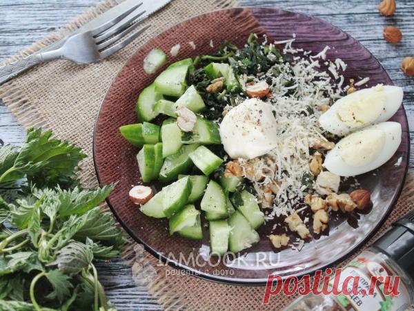 Салат из крапивы с орехами и огурцом — рецепт с фото Крапивные салаты - это для витаминов и красоты!