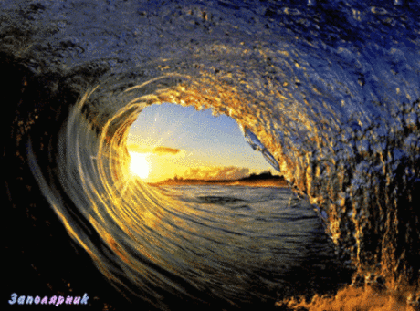 Живые фотографии – Живые картинки – Сообщество – Google+