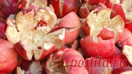 Водный настой сухих корок граната излечит все! 

1. Излечение за 5 часов от любых штаммов дизентерии, сальмонеллёза, брюшного тифа, холеры, острого аппендицита (необходимость в хирургической операции отпадает). 
2. Излечение за одну неделю от следующих заболеваний: язва желудка, язва кишечника (тонкая кишка), колит — воспалительный процесс в толстой кишке, дисбактериоз. 

По просьбам читателей даю рецепт приготовления водного настоя сухих корок плода граната и его применен...