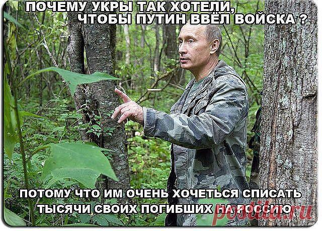 КЛАССные ВИДЕО и ФОТО.
Владимир Энгельс