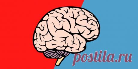 Как запоминать больше, используя метод 50/50 - Лайфхакер