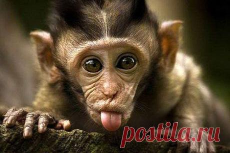 bbc00d09e1b0478849ae03010bf.jpg (450×300)