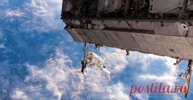 Как космонавты живут на МКС Нам удалось лично поговорить с космонавтом и спросить его о том, как же на самом деле все устроено на МКС.