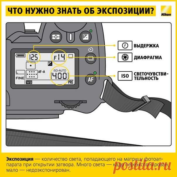 Учимся фотографировать: работа с экспозицией. | Хитрости Жизни