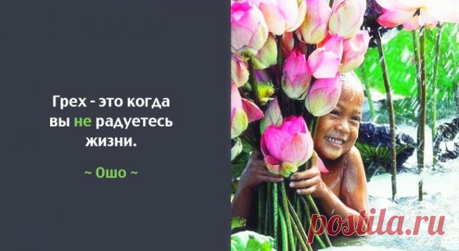 10 лучших советов от Ошо – Фитнес для мозга