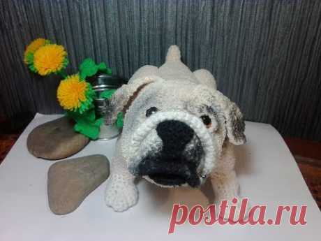 Английский бульдог или Мопс,ч.1.  English Bulldog оr Pug, р.1.  Amigurumi. Crochet.