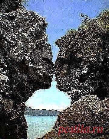 природа