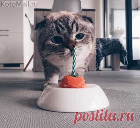 Праздничный тортик