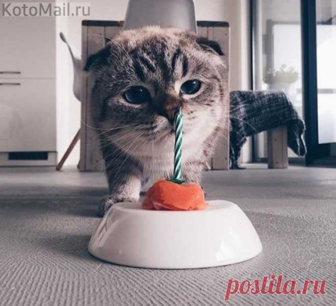 Праздничный тортик