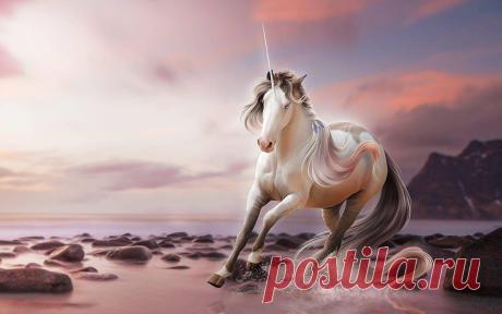 Откуда появился миф о единороге, и почему загадочное животное стало розовым Единорог – загадочное животное...