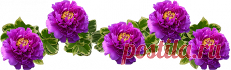 Дневник milana_E Виртуальные путешествия