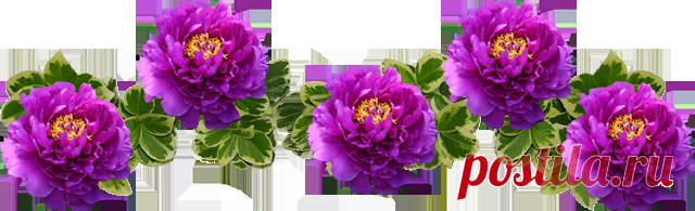 Дневник milana_E Виртуальные путешествия