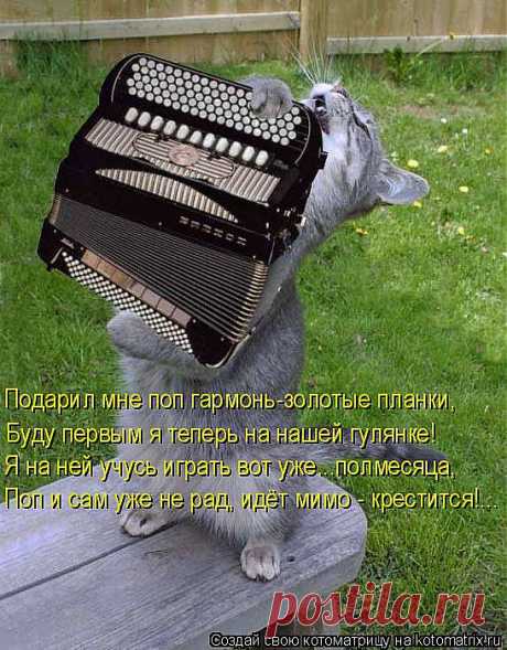 kotomatritsa_-4.jpg (Изображение JPEG, 547 × 700 пикселов) - Масштабированное (99%)