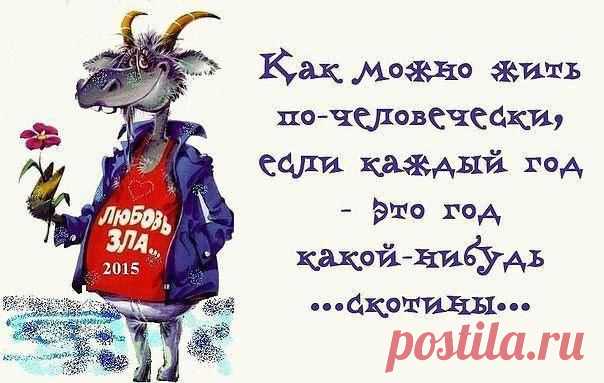 Интересные новости