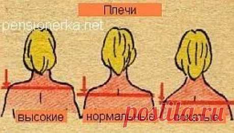 Как правильно снимать мерки, конструирование одежды с использованием чертежа основной выкройки