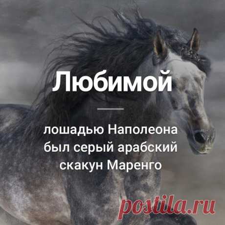 Узнай сегодня