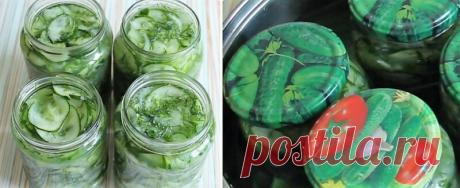 Салаты из огурцов на зиму – 10 рецептов «пальчики оближешь»