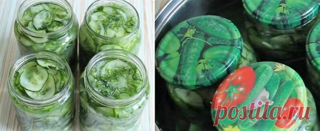 Салаты из огурцов на зиму – 10 рецептов «пальчики оближешь»