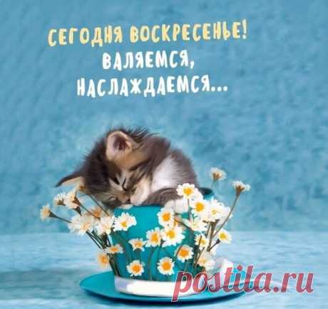 Сегодня воскресенье! Валяемся и наслаждаемся!