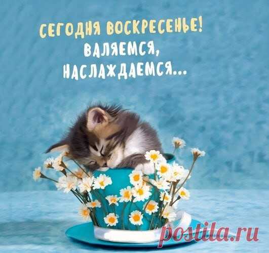 Сегодня воскресенье! Валяемся и наслаждаемся!