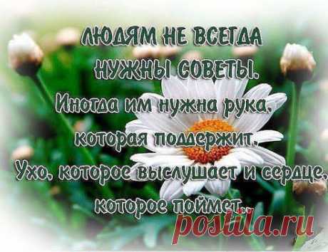 венера: Свою жизнь надо устраивать до тех пор,пока жизнь не начнет устраивать тебя