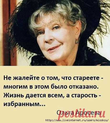 ...цитата...