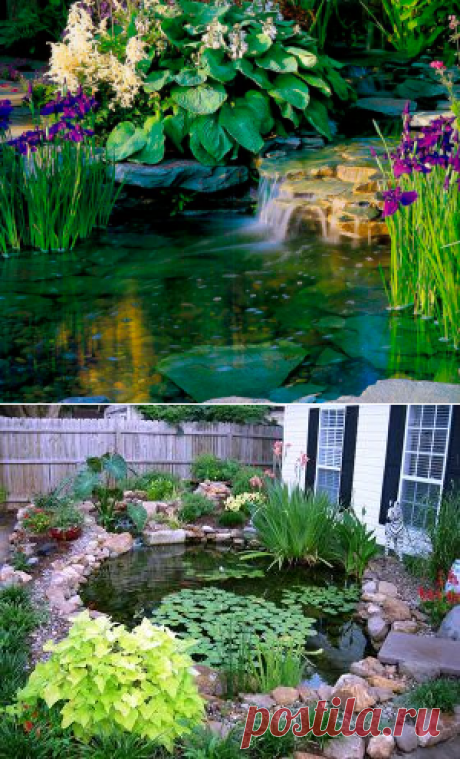 КАК СДЕЛАТЬ, ЧТОБЫ ВОДА В ПРУДУ, ВОДОЕМЕ НИКОГДА НЕ МУТНЕЛА?