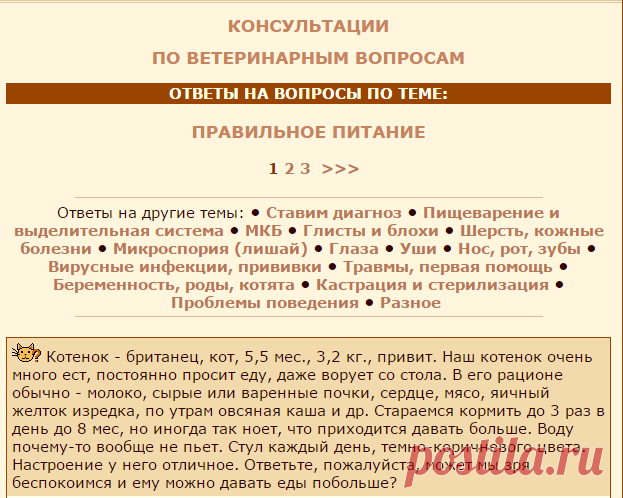 Консультации: ветеринарное сообщество - Породы кошек - CATS-портал!!!!!!!!!!!!!!!!!!!!!!!