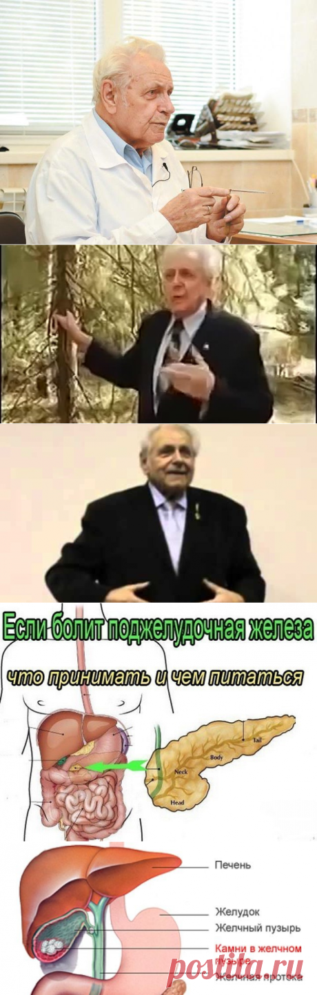 3 непрочитанных чата