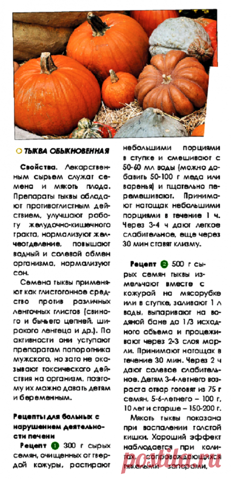 Тыква от глистов