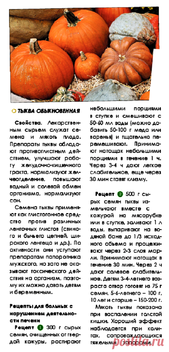 Тыква от глистов